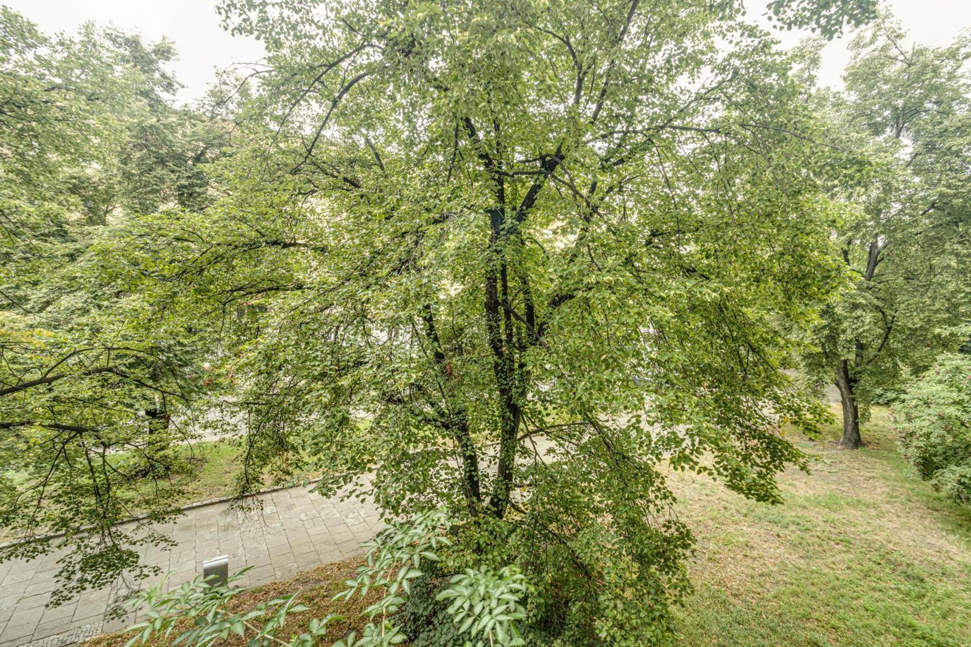 Rentplanet - Apartament Kosciuszki Breslau Exterior foto